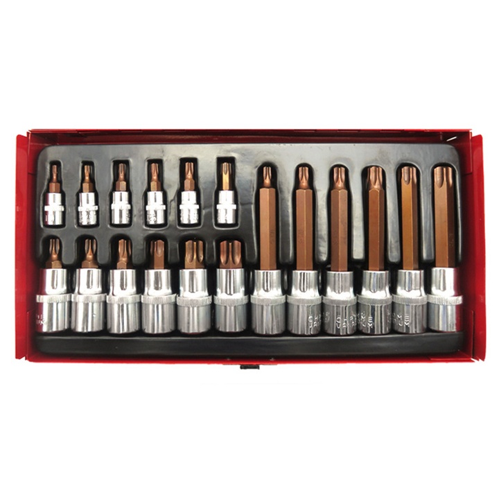 18pcs Torx Bit Set 1/4″&1/2″Dr