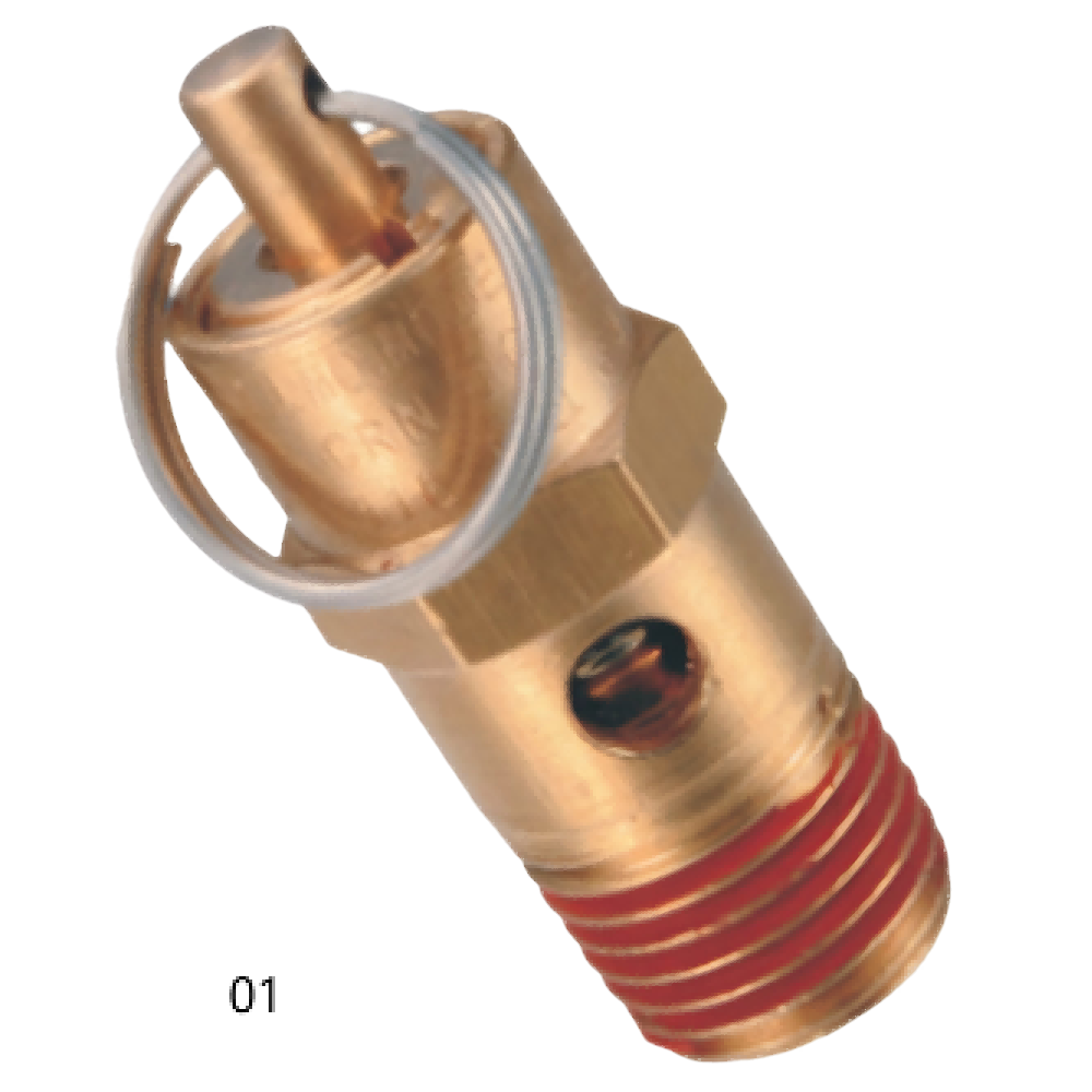 Safety Valve