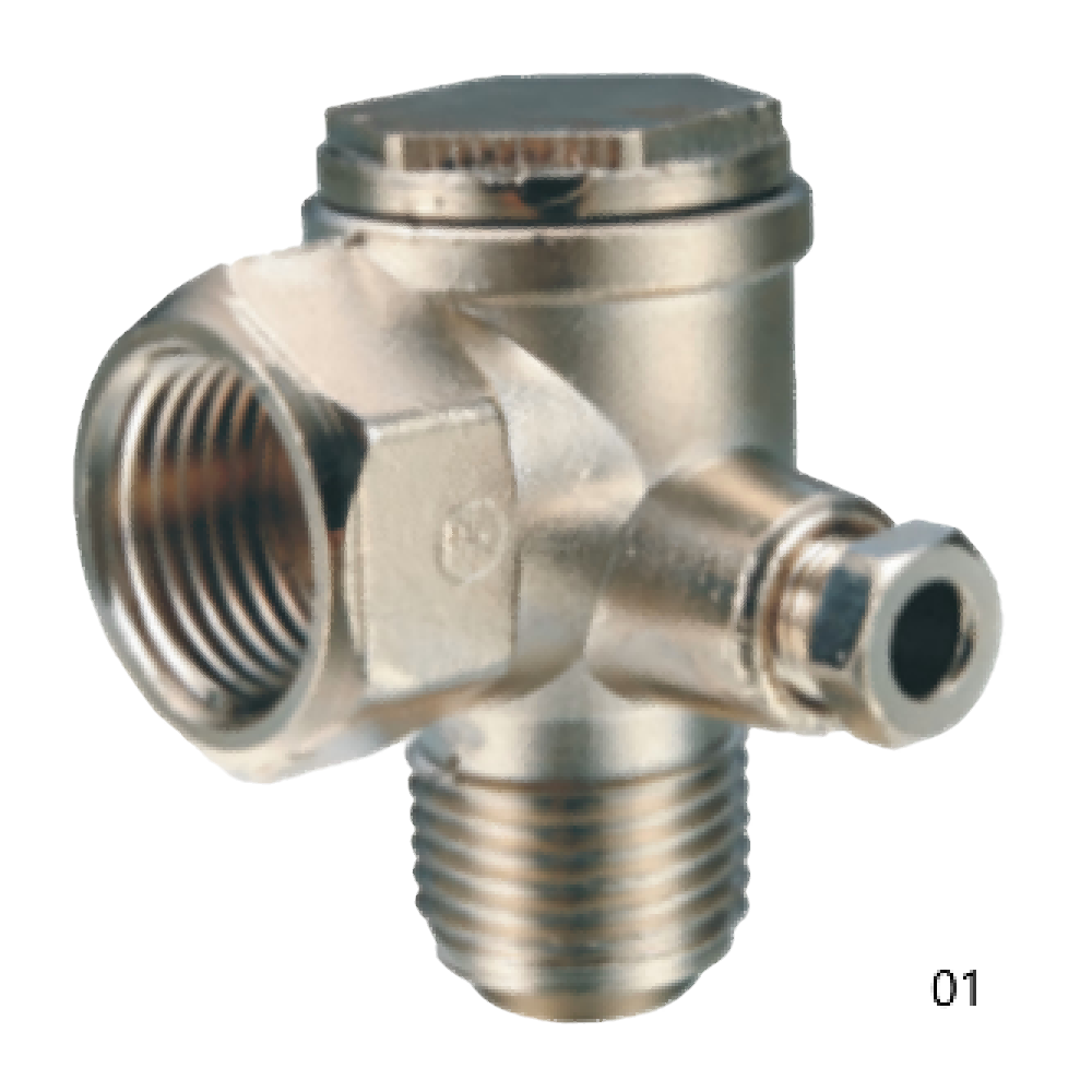 Check Valve